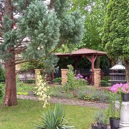 Domek Pod Sosnami Homestay Mielno (Koszalin)