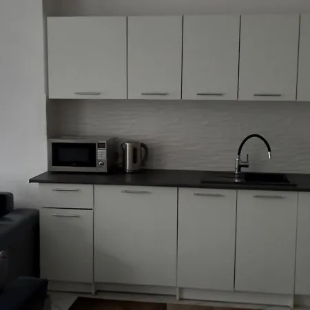 Domek Pod Sosnami Homestay *
